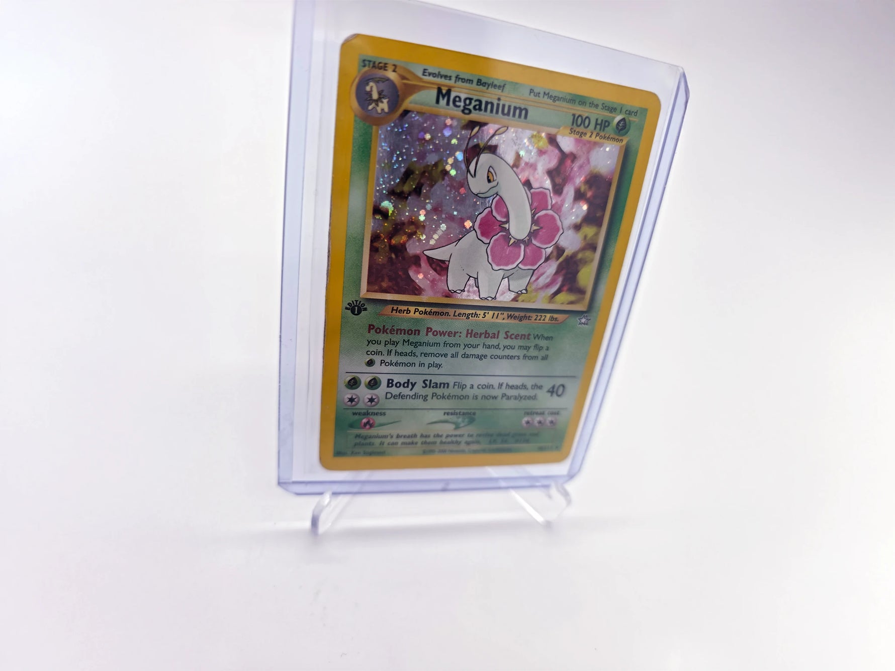 Meganium 010/111 - First Edition - Holo (Swirl) - Neo Genesis