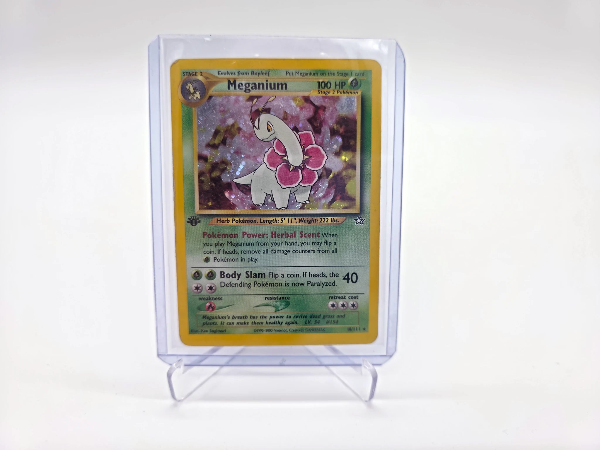 Meganium 010/111 - First Edition - Holo (Swirl) - Neo Genesis